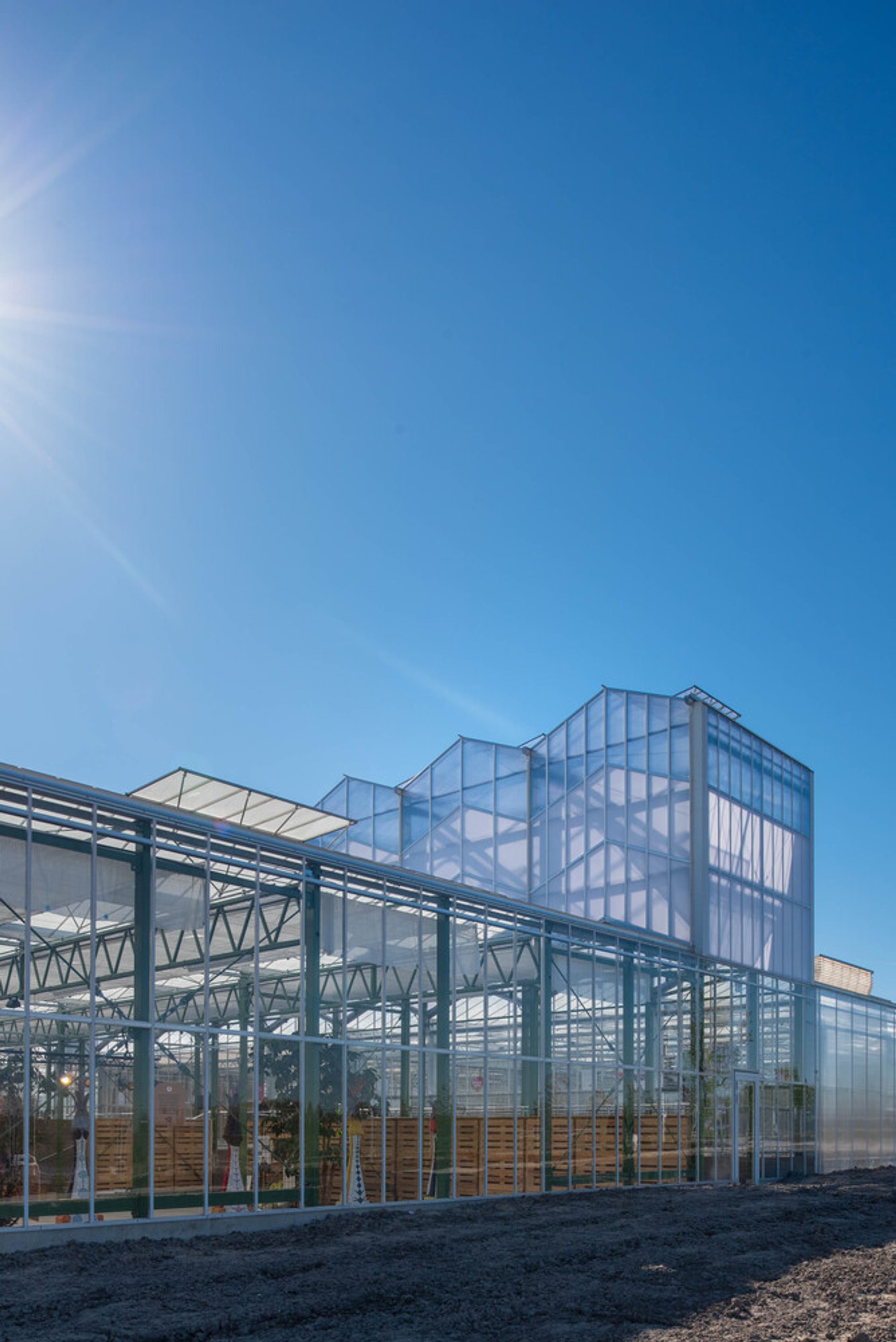 V8 Architects Turns a Working Greenhouse into a Public Pavilion for Floriade