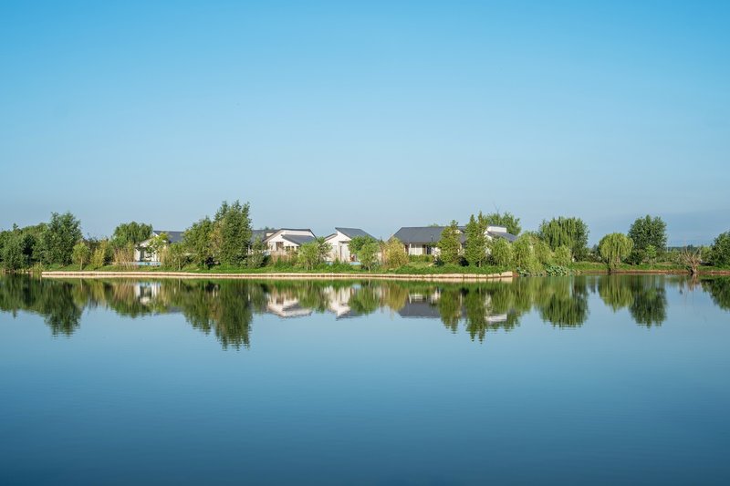 Residential buildings along a pond with trees reflected in still water under clear skies