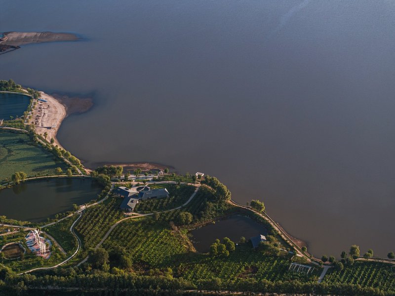 Aerial view of clustered buildings on a narrow peninsula surrounded by vineyard rows at dusk