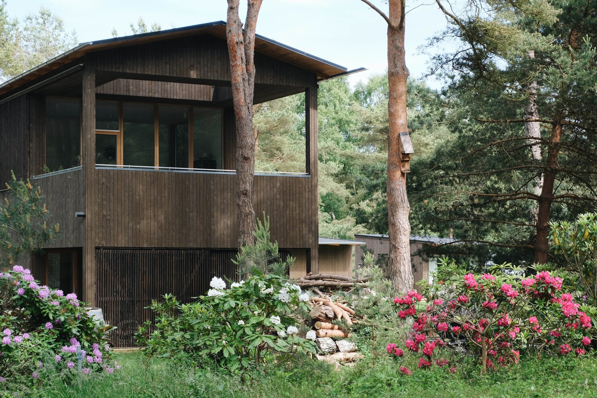 Ljunghusen House: A Harmonious Integration of Scandinavian Architecture and Forest Landscape
