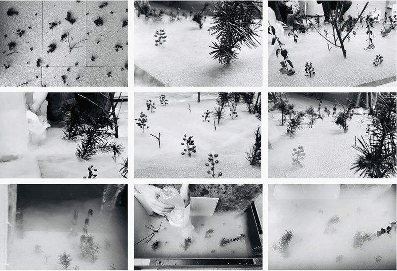 Nine-panel black and white grid of physical model experiments: cotton mist, miniature plants, and water used to study spatial density and threshold effects