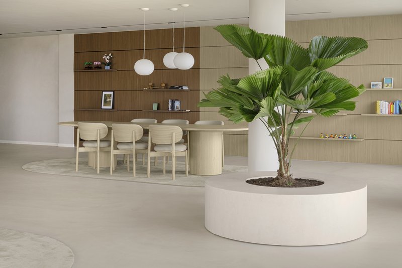 Curved white planter with palm tree anchoring the open living space with dining table in background