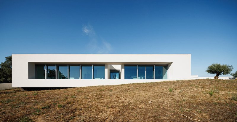 Long horizontal volume with continuous glazing set into a sloping hillside beneath an olive tree