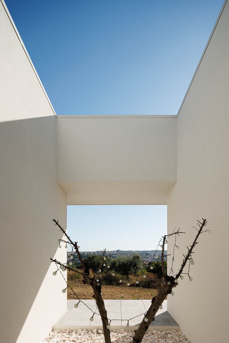 Framed courtyard view of gnarled olive trees through a rectangular opening below a skylight