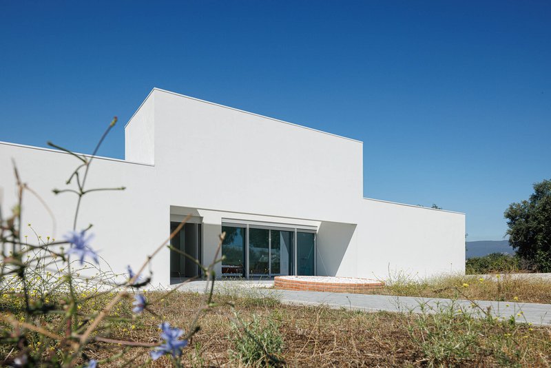 White volumetric facade with recessed glazing and terrace surrounded by wildflowers under clear blue sky