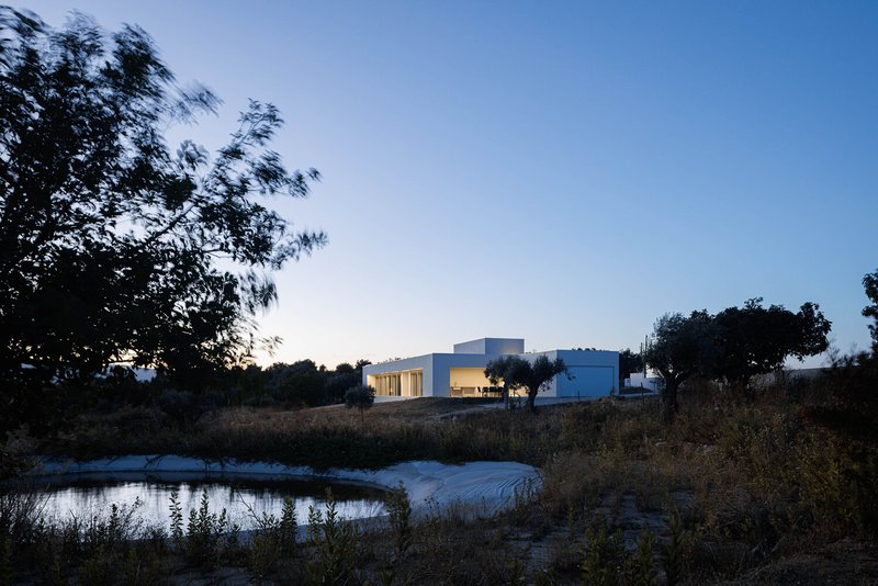 Evening view of white volumes across a pond with native grasses and surrounding trees