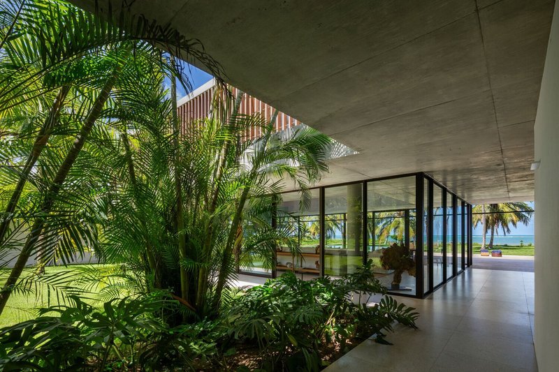 Ground-floor circulation: internal garden with tropical planting, concrete ceiling, glass corner toward the sea