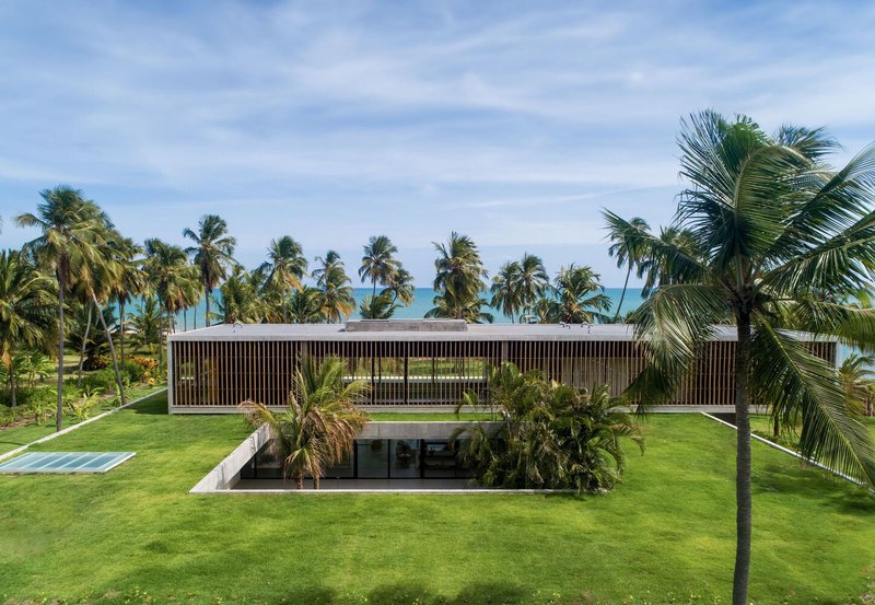 Elevated view over green roof toward ocean: the two volumes and internal courtyard within the palm canopy