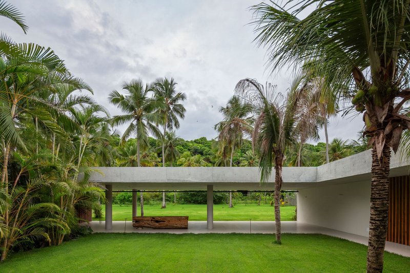 Rear courtyard: concrete colonnade with bench, palm planting, green roof above