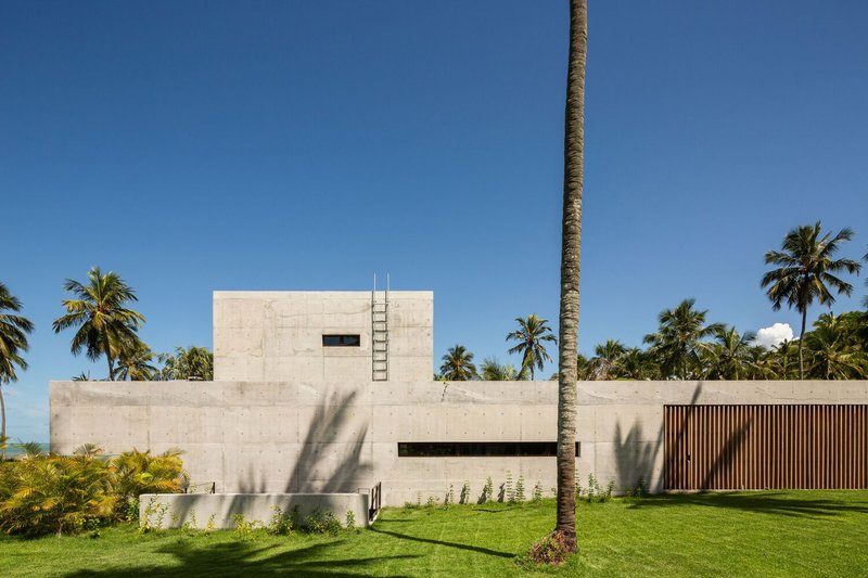 Service volume: exposed concrete walls, ladder to green roof, timber gate, palm trunks