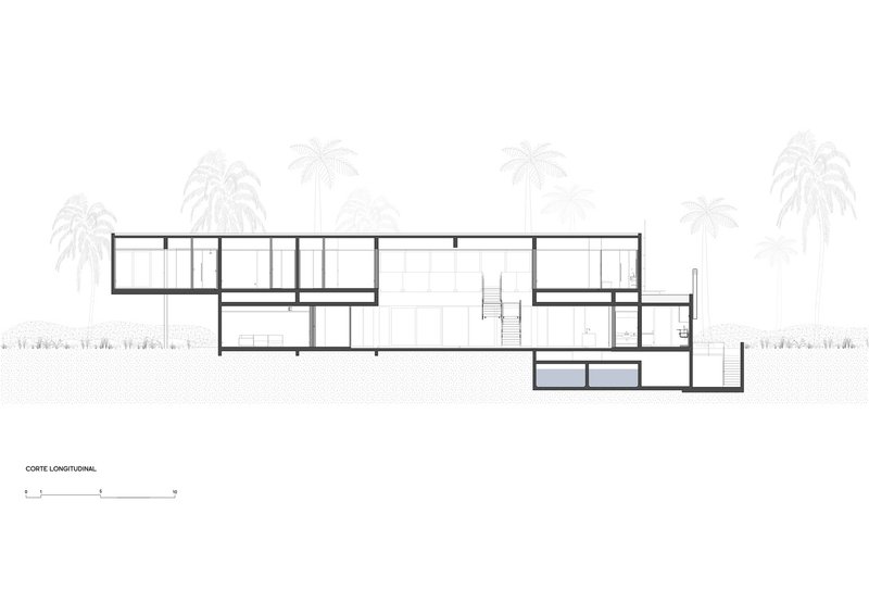 Longitudinal section: two-storey volume, stair, pool, and coconut palms in profile