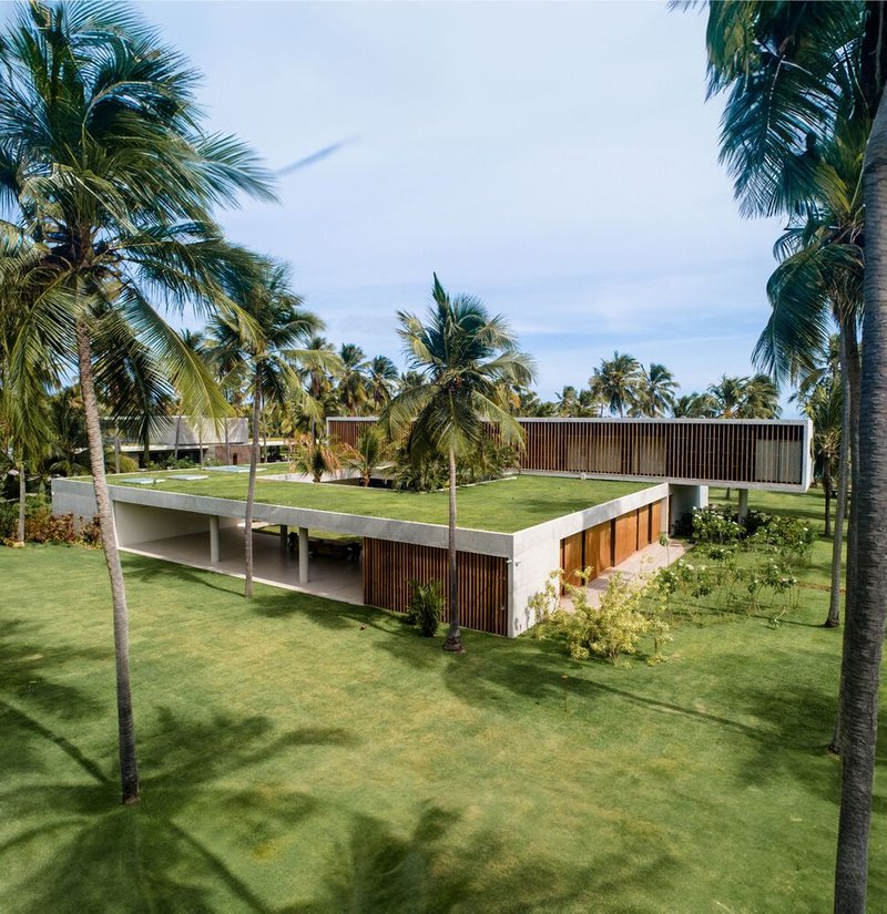 Aerial view: two volumes with green roofs set within the palm grove, beach at the edge