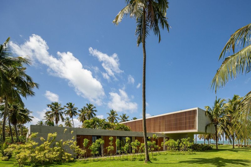 Distant view: the horizontal concrete and timber volume nestled among tall coconut palms
