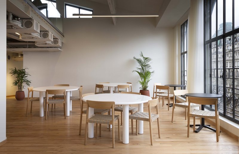 After: communal dining with white round tables, oak and white chairs, steel-frame windows, plants
