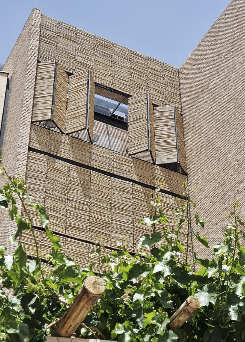 Facade clad in horizontal ribbed panels with angled window shutters above climbing vines
