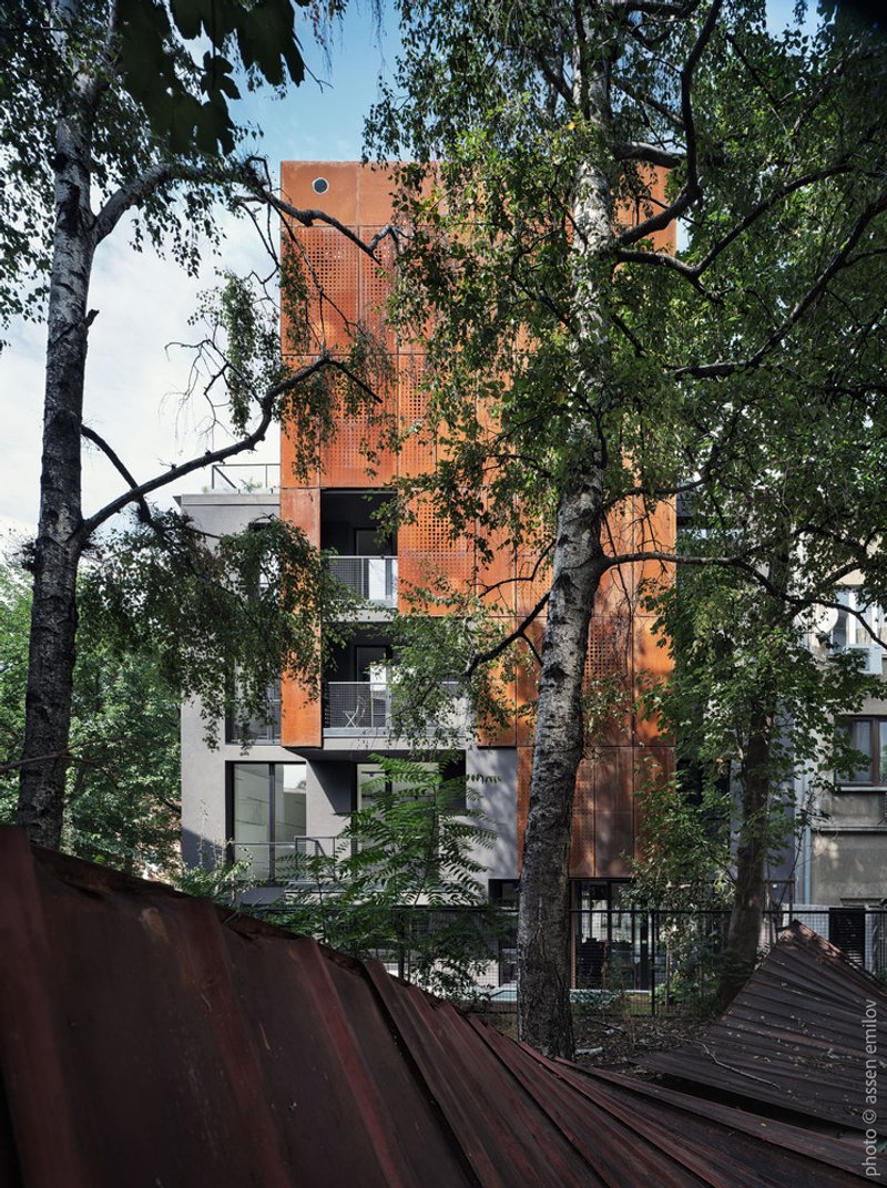 View through birch tree branches toward the perforated corten tower rising above white balconies