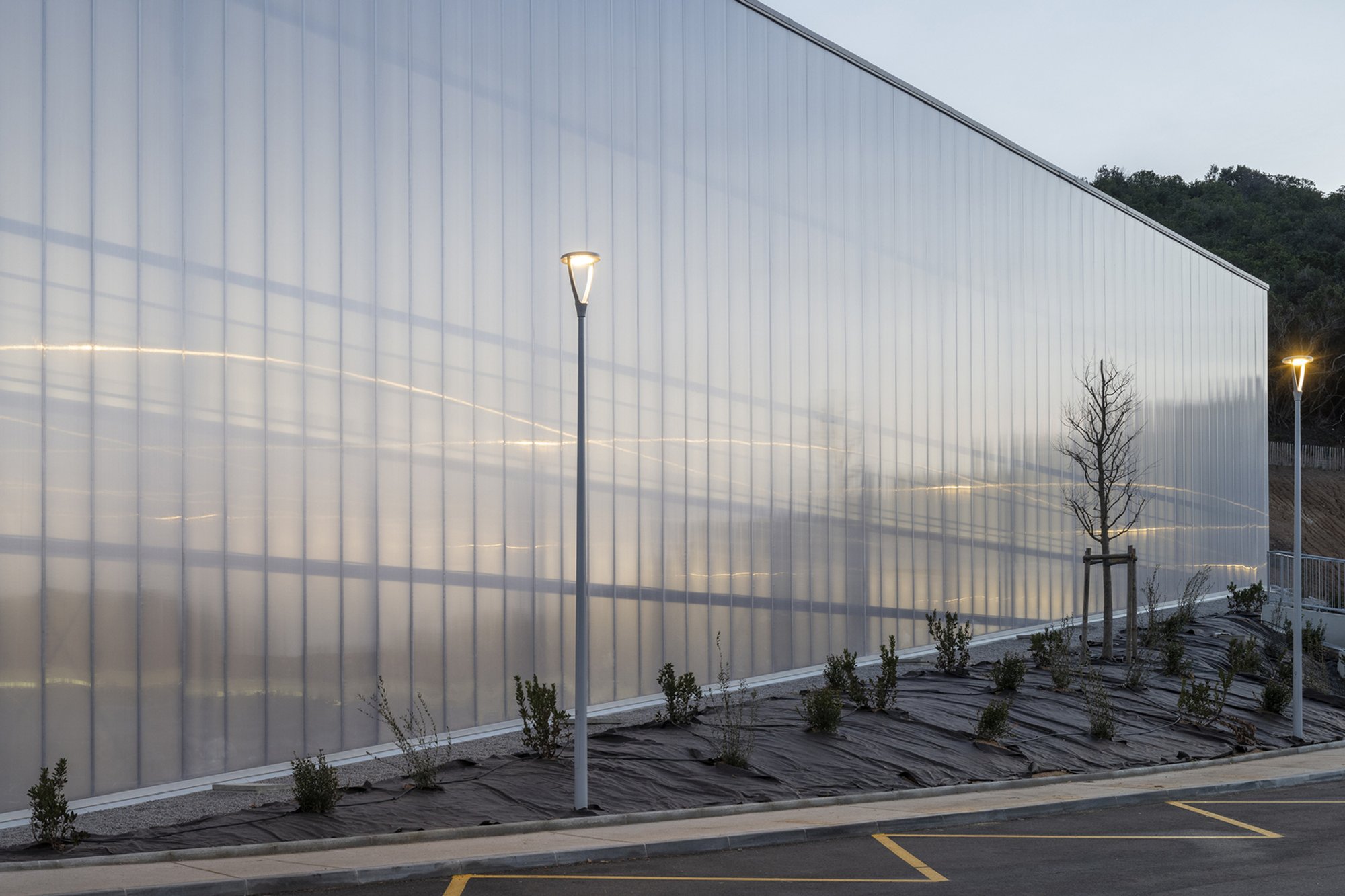 Versini Architectes Tucks a Glowing Sports Hall into a Corsican Hillside