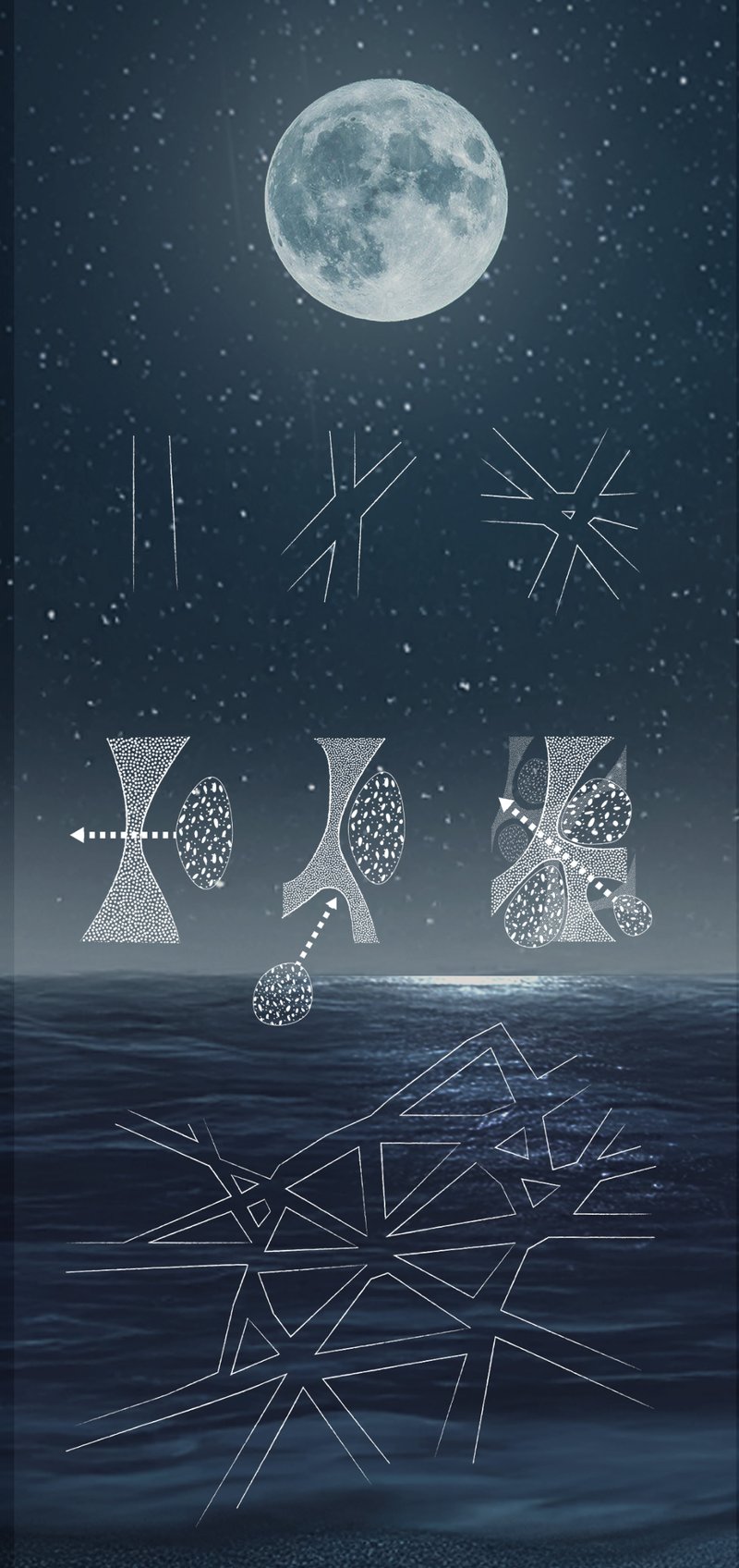 Conceptual Sketches and Lunar Inspiration: Visualizing the structural frameworks and biomimetic designs inspired by nature.