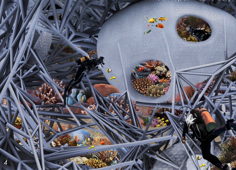 Underwater Rehabilitation Structure: Close-up of vibrant marine life thriving within the interconnected pods.
