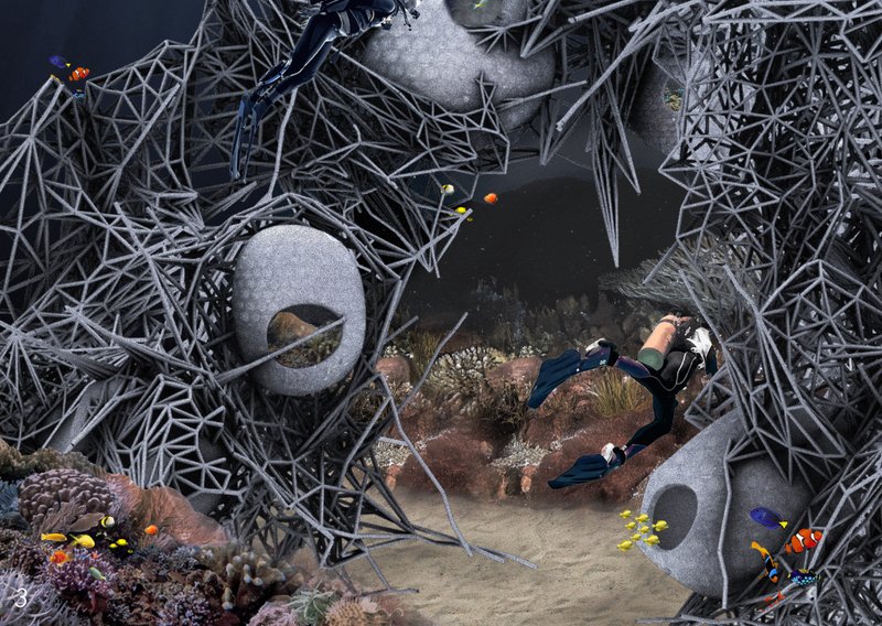 Fish Nursery Pods in Detail: Secluded spaces designed to protect juvenile marine species and support ecosystem sustainability.