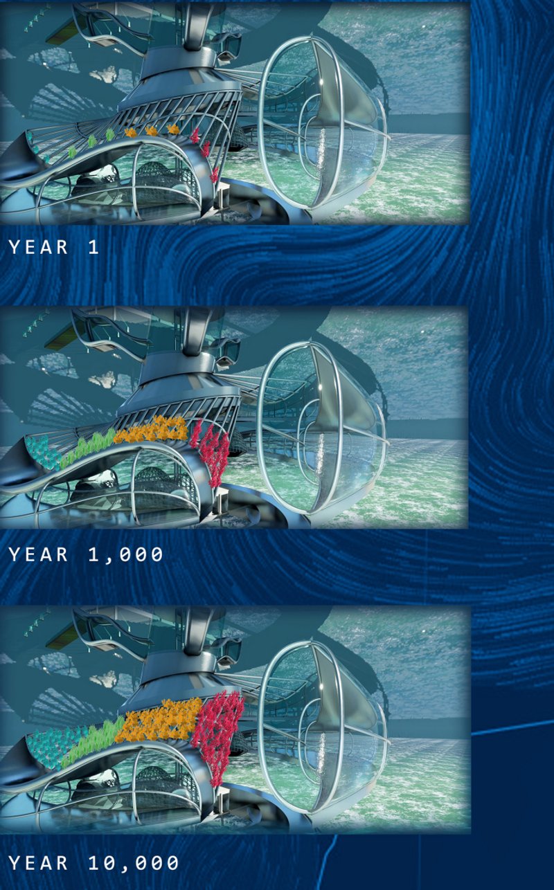 Coral Growth Timeline: Visualizing coral development on structural frames from year 1 to year 10,000, fostering long-term marine conservation.