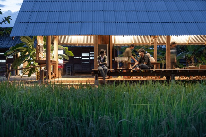 Two figures seated on the raised timber platform beside young rice plants in the foreground