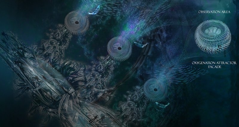 Observation Zones: Vibrant viewing decks designed to draw visitors into the biodiversity of the kelp forests.