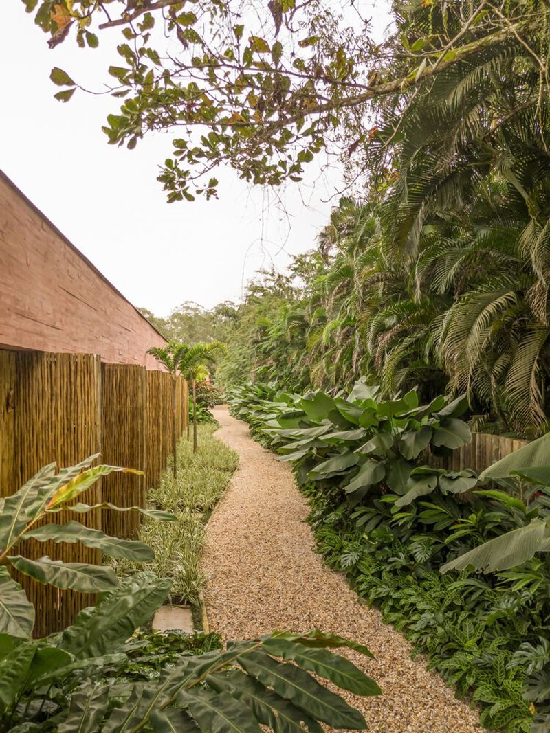 Gravel pathway lined with bamboo fencing and dense tropical plantings leading past timber slat wall