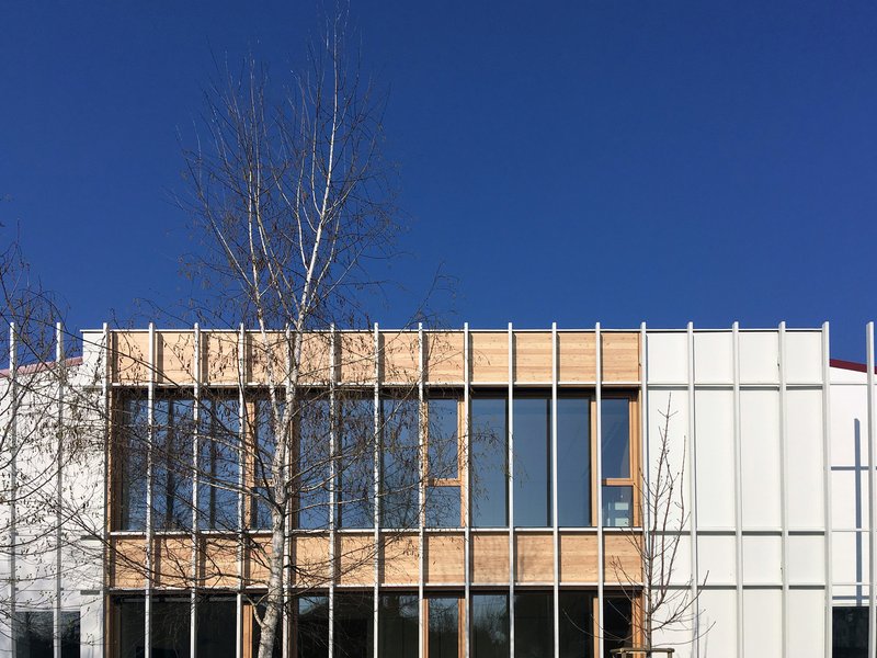Upper storey: timber cladding and full-height glazing behind the white fin screen, blue sky, bare birch