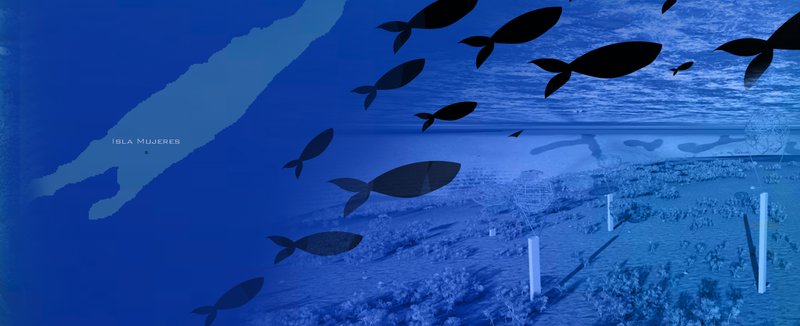 A visual representation of Dive-5's placement near Isla Mujeres, harmonizing with marine ecosystems.