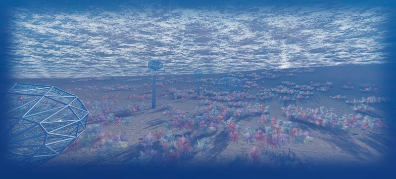 A vibrant marine habitat surrounding the Dive-5 installation, promoting coral restoration.