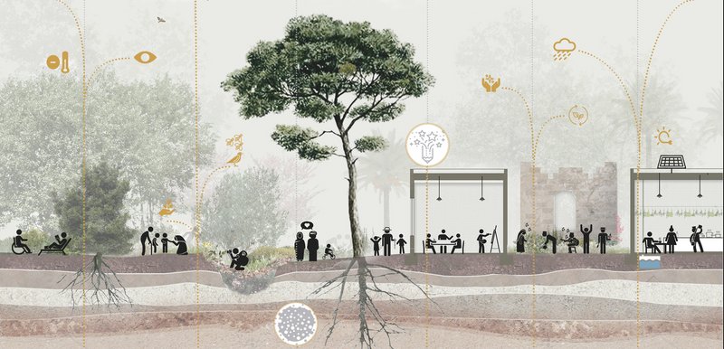 Rooted in resilience: Aleppo's ecosystem thrives as communities engage in sustainable practices, connecting past, present, and future.