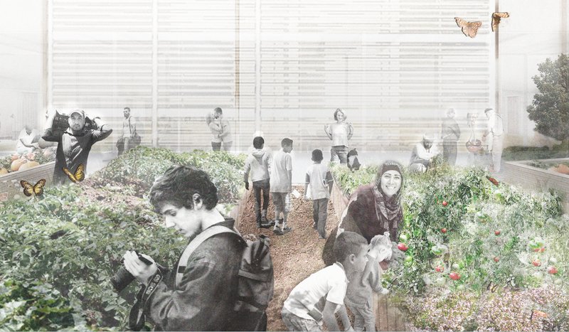 Cultivating the future: Aleppo's community gardens thrive as spaces for learning, sustainability, and shared growth in urban resilience.