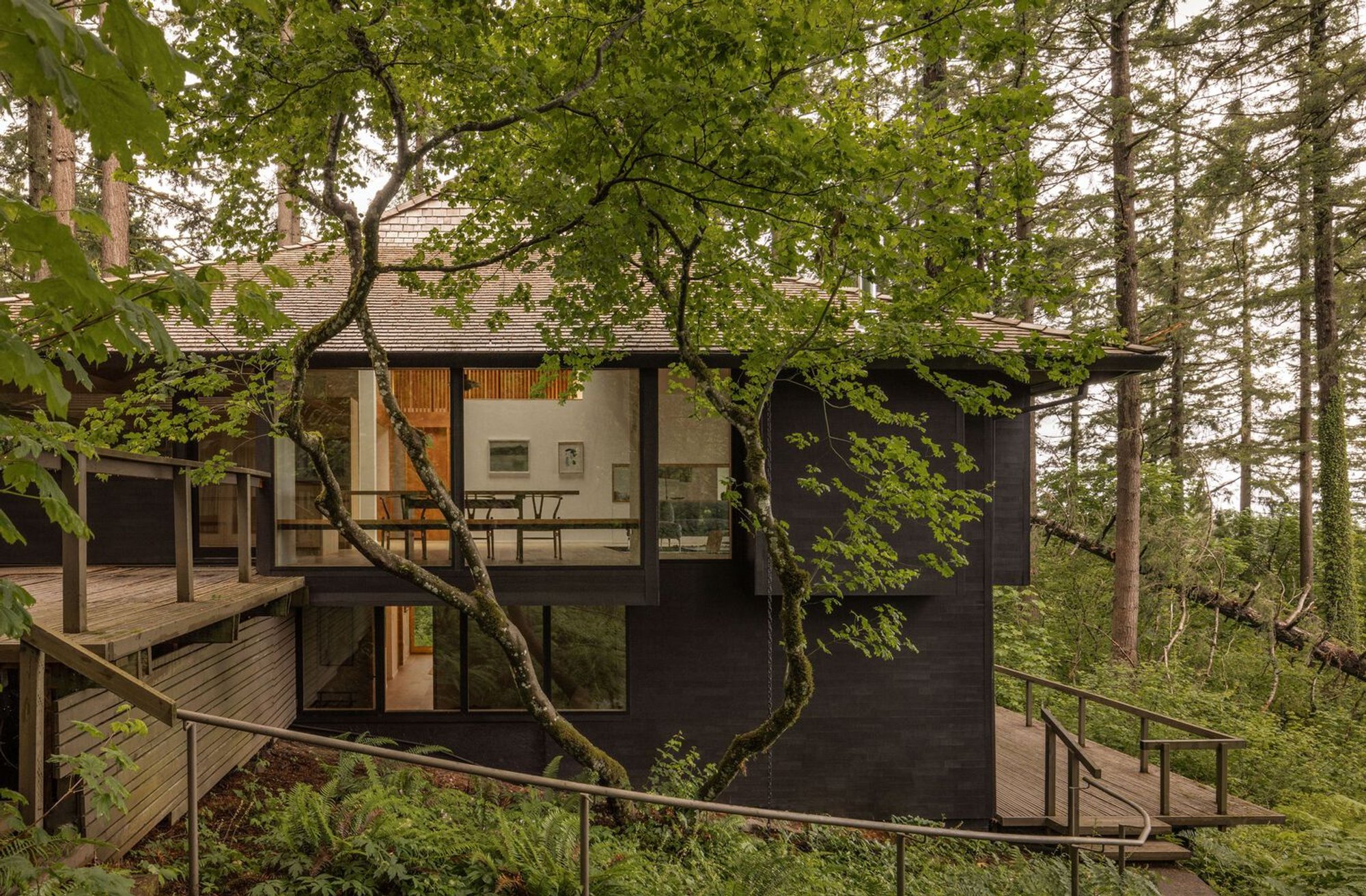 SHED Architecture Rewires a Pacific Northwest Forest Retreat Around Light, Timber, and Mist