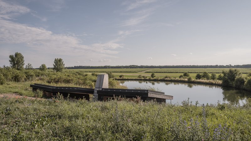 Wide landscape: green roof and dark house beside the natural swimming pond, flat farmland stretching to the horizon