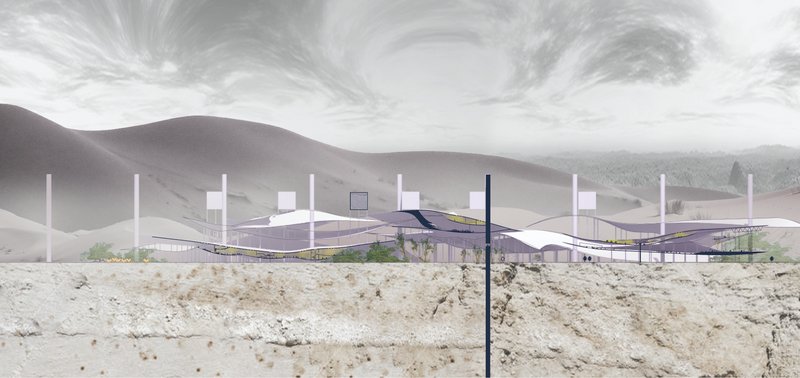 Sectional view of Nature Sprawl: Showcasing layered coexistence of human habitats and natural ecosystems in the Sahara.