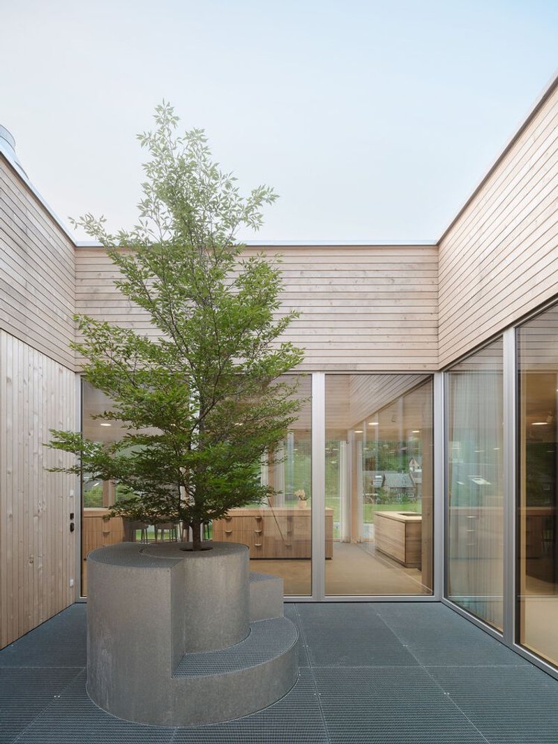 Interior courtyard with a tree in a curved concrete planter surrounded by timber-clad walls