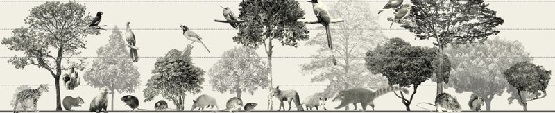 Biodiversity Representation: Showcasing the harmonious coexistence of flora and fauna within sustainable environments.