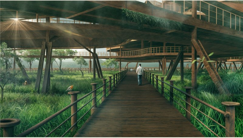 Sustainable wooden pathways fostering connectivity between ecosystems and enhancing human-nature interaction.