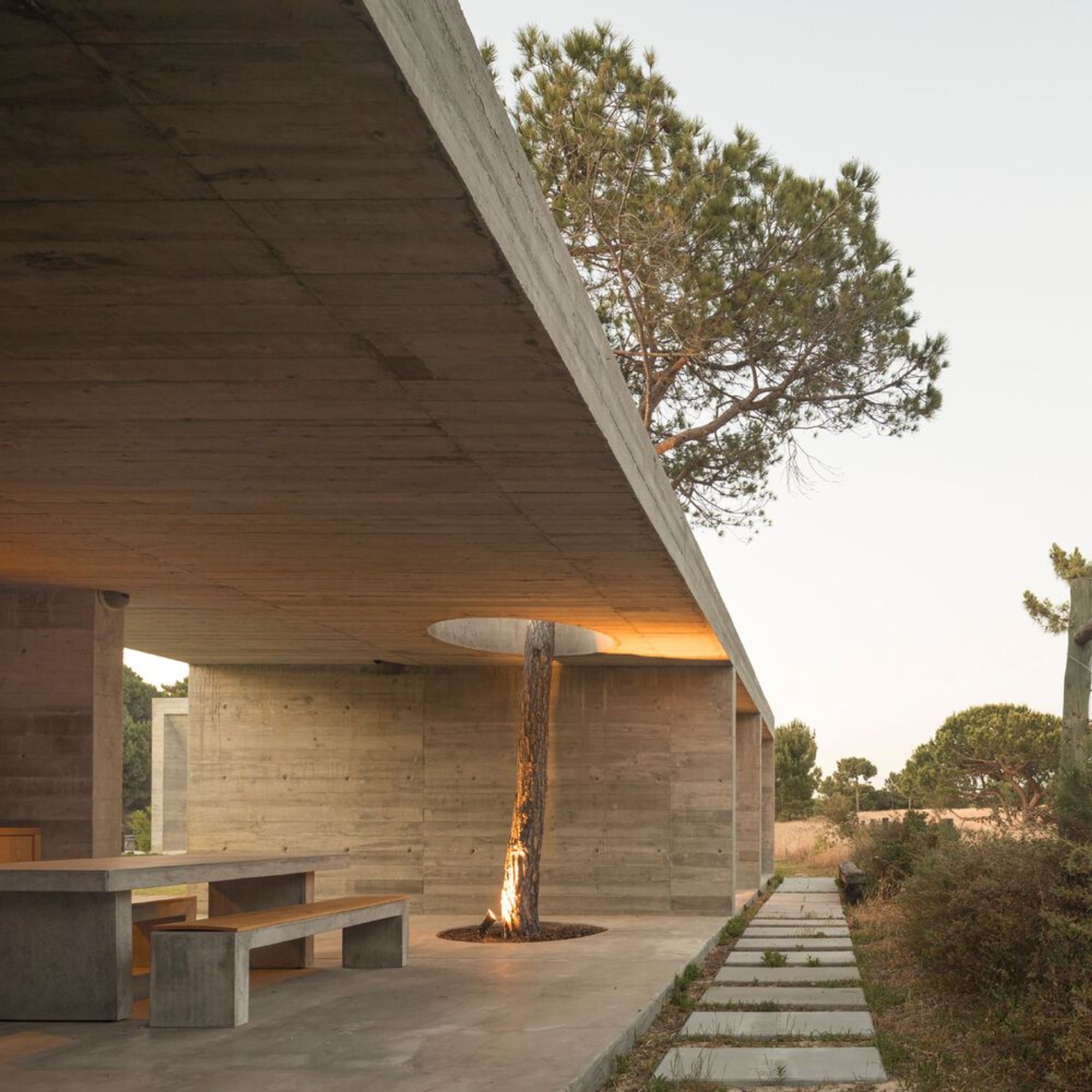 DNSJ.arq Anchors a Concrete House Among Pine Trees and Golden Grassland in Meco