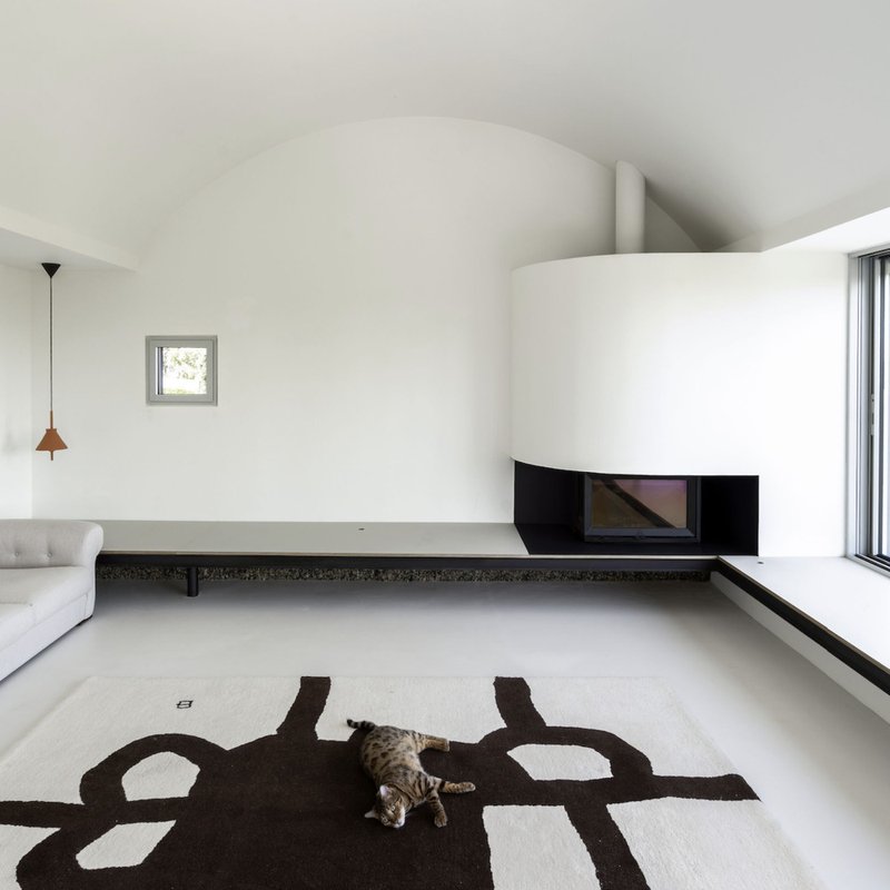 Living room with curved white walls, recessed fireplace, and cat resting on a graphic patterned rug