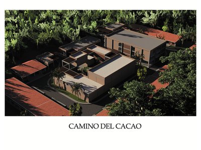 CAMINO DEL CACAO
