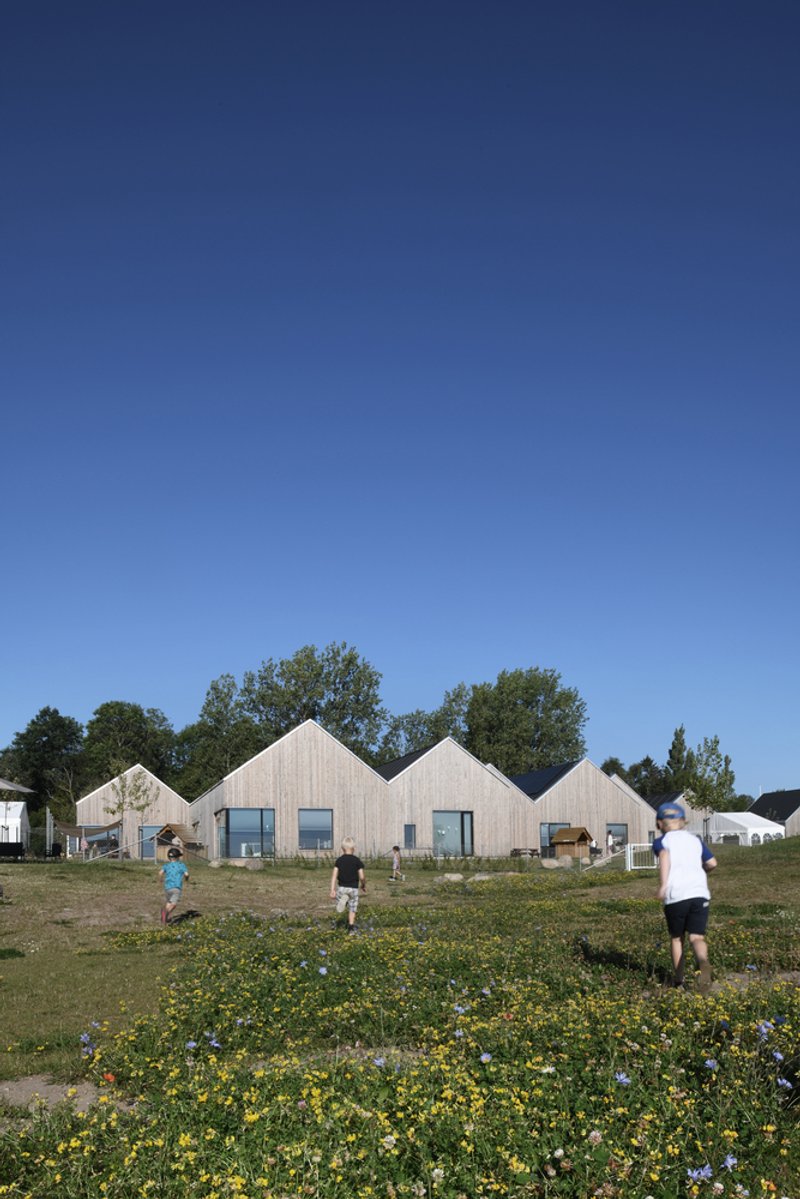 Timber gabled facades viewed across wildflower meadow with children playing in afternoon sun