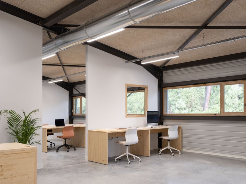 Office space with plywood desks under exposed black steel beams and timber-framed windows overlooking trees