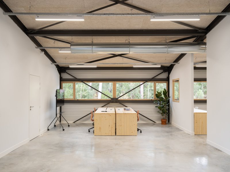 Steel cross-bracing spanning workspace with timber desks and continuous horizontal window