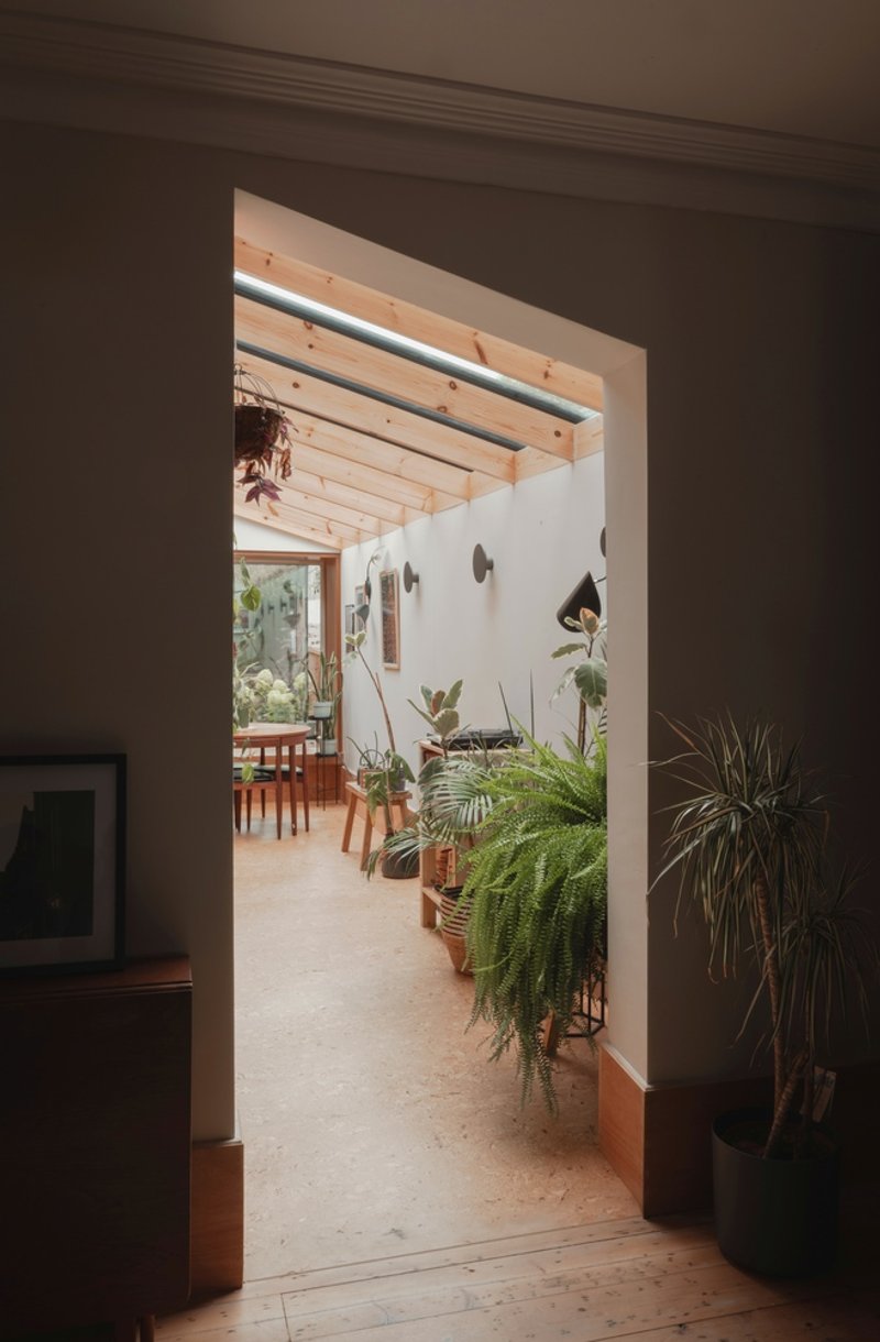 Doorway from a darkened room framing the sunlit kitchen and dining space filled with potted ferns