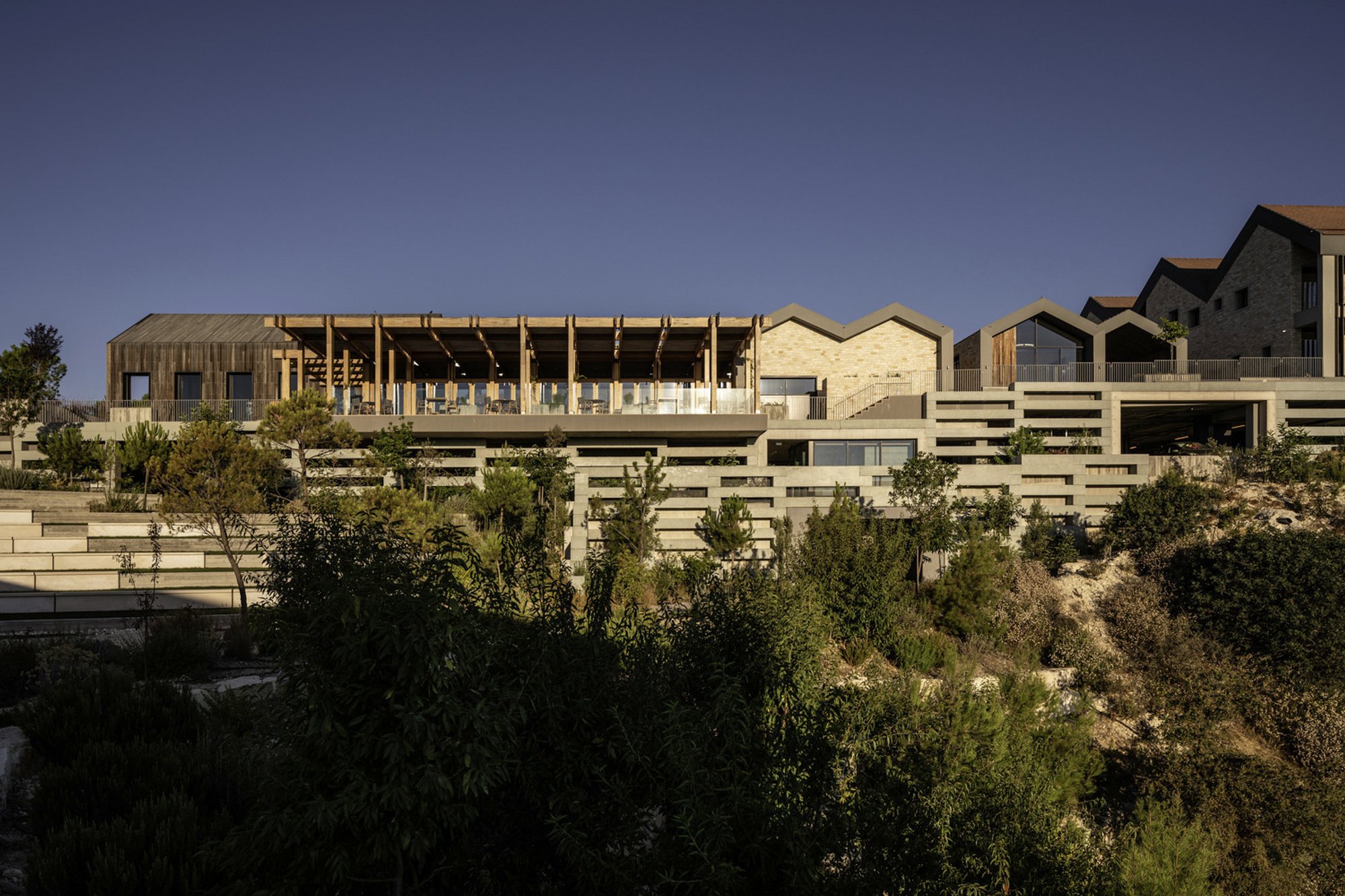 Woods Bagot Builds a Cypriot Hill Resort Around Courtyards, Limestone, and Indigenous Herbs