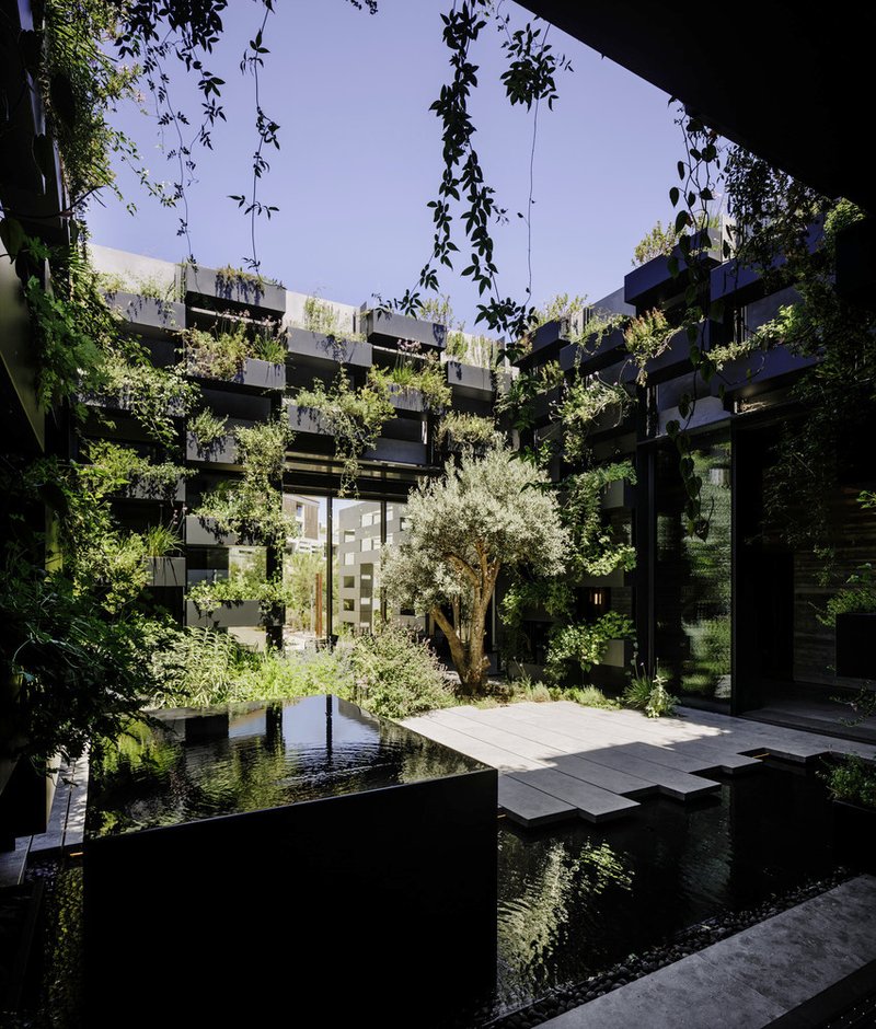 Interior courtyard with reflecting pools, hanging vines, and planted olive tree framed by balconies