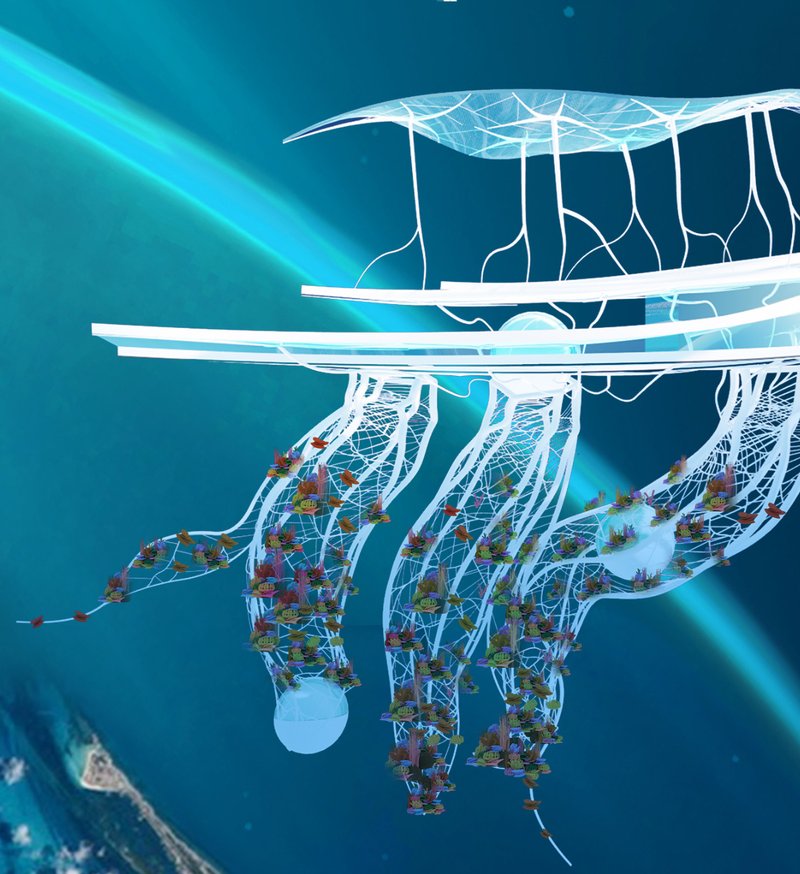 Aerial rendering of a tensile canopy structure suspended over cultivated platforms in open water