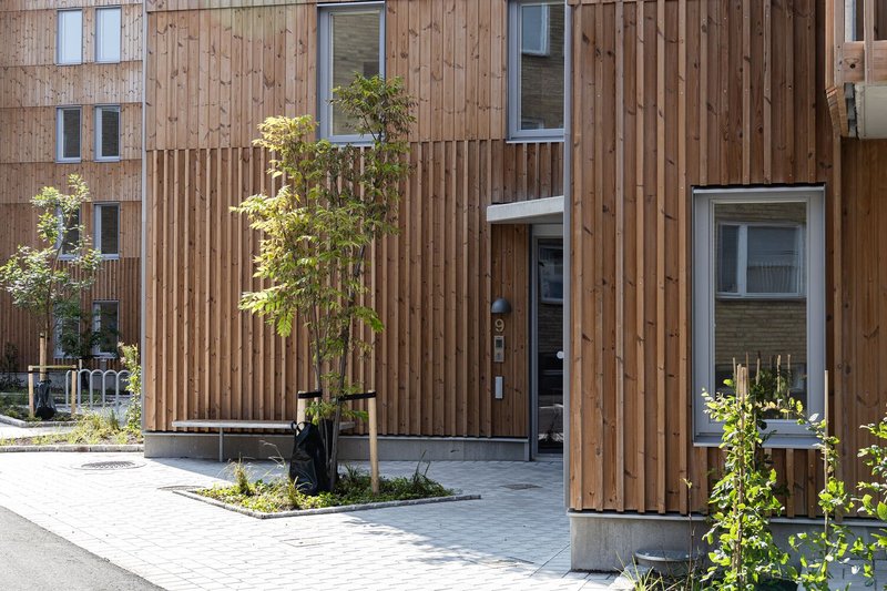 Ground-level entry sequence with vertical timber slat cladding, planted cutouts, and paved pedestrian circulation